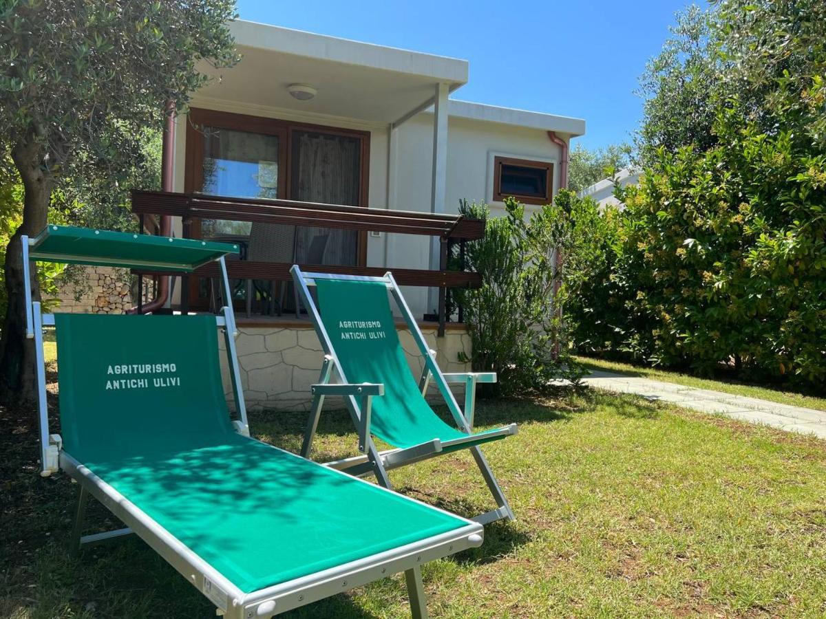Agriturismo Antichi Ulivi Mattinata Eksteriør bilde
