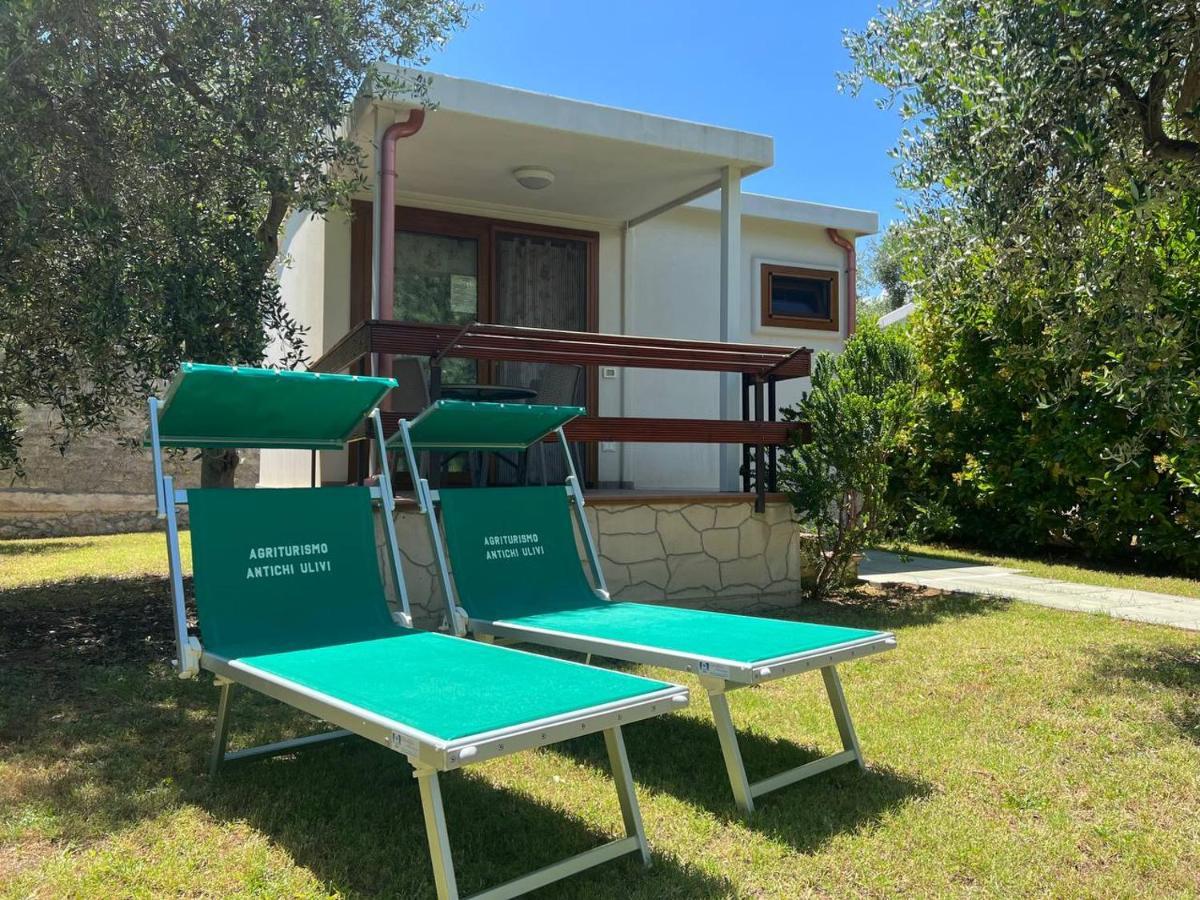 Agriturismo Antichi Ulivi Mattinata Eksteriør bilde