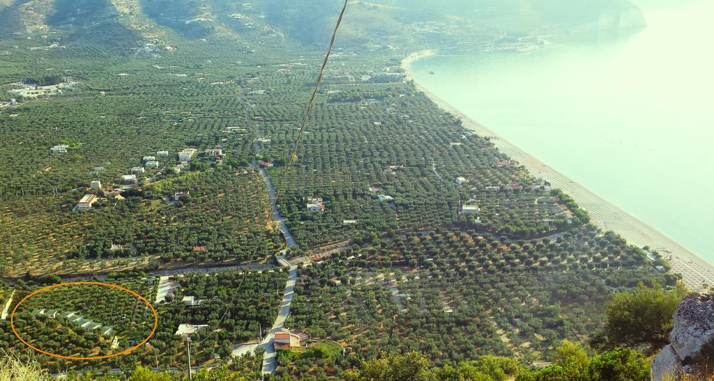 Agriturismo Antichi Ulivi Mattinata Eksteriør bilde