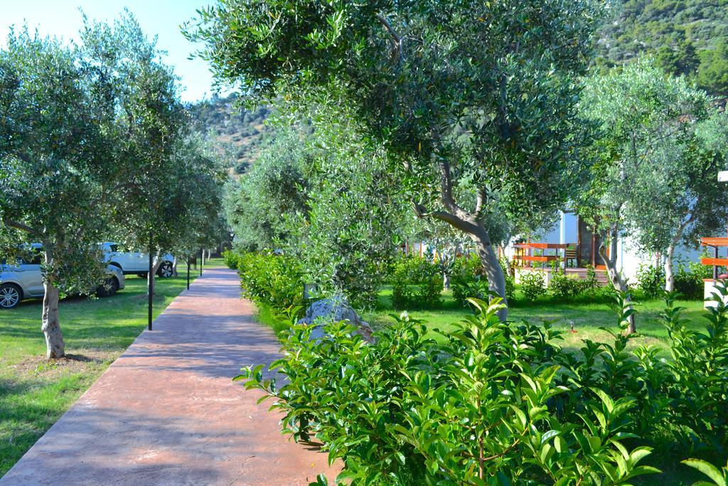 Agriturismo Antichi Ulivi Mattinata Eksteriør bilde
