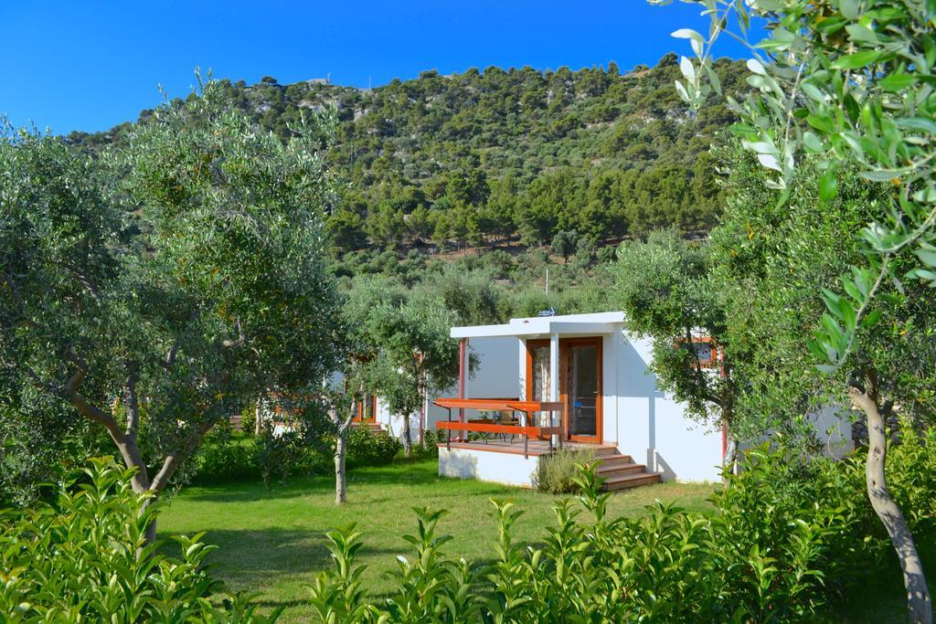 Agriturismo Antichi Ulivi Mattinata Eksteriør bilde