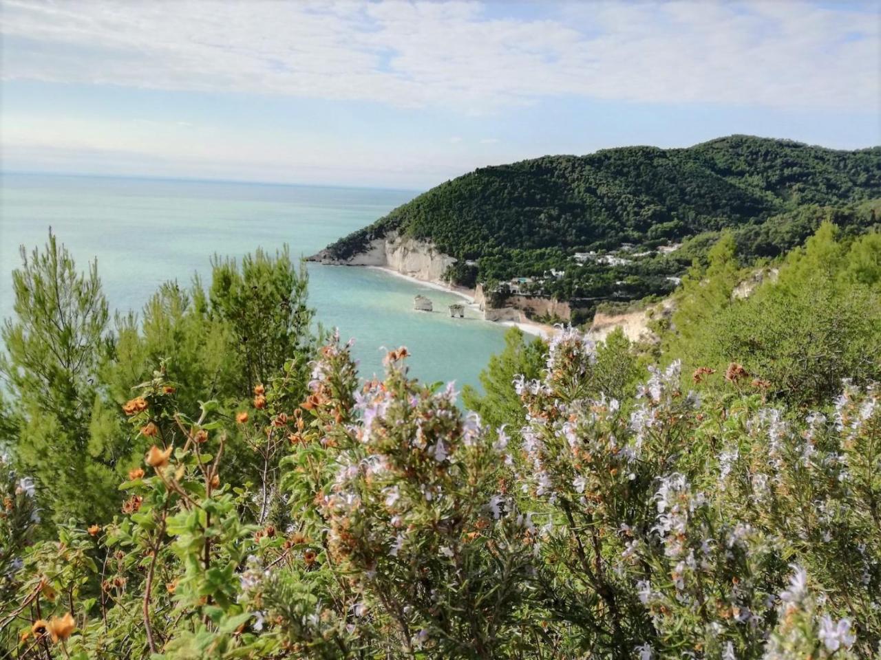 Agriturismo Antichi Ulivi Mattinata Eksteriør bilde