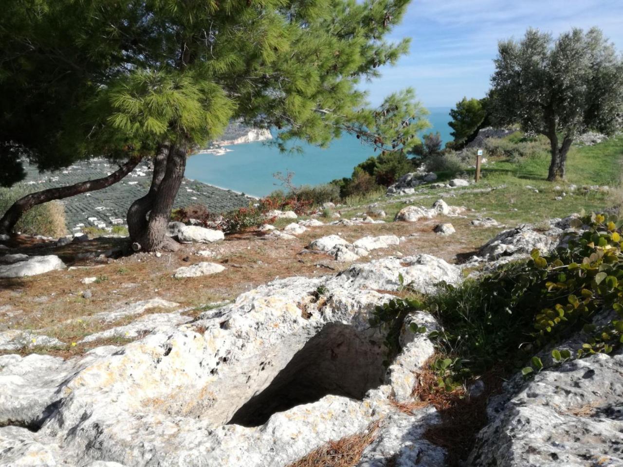 Agriturismo Antichi Ulivi Mattinata Eksteriør bilde