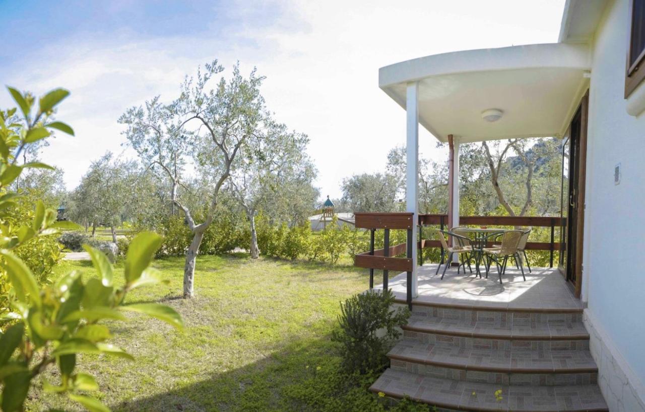 Agriturismo Antichi Ulivi Mattinata Eksteriør bilde